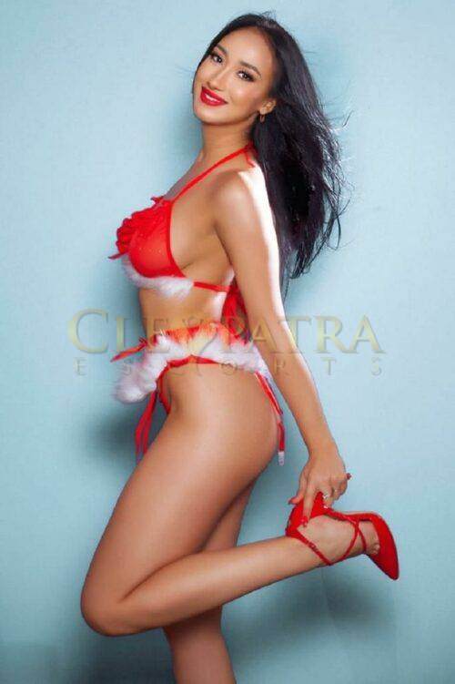 Delice, Marylebone, E. European Escort