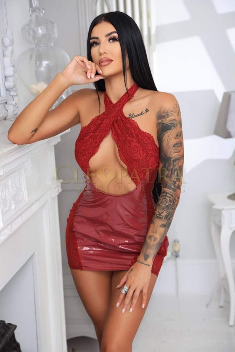 Arina - Romanian escort in Gloucester Road, photo 8 of 10